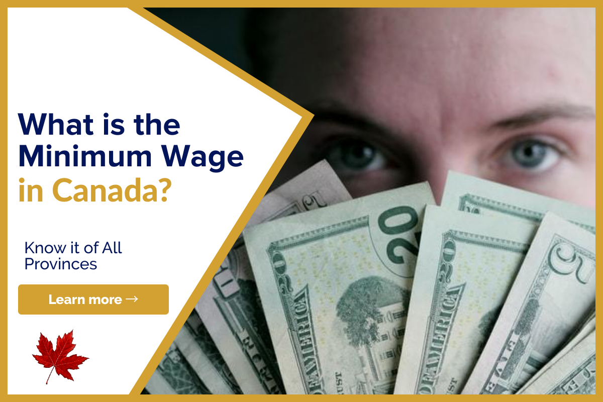 What is the Minimum Wage in Canada? Lionsgate Financial Group