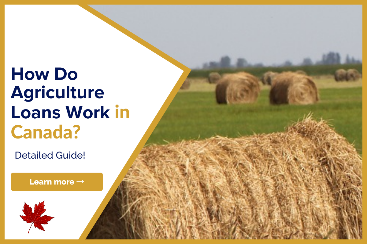 How Do Agriculture Loans Work