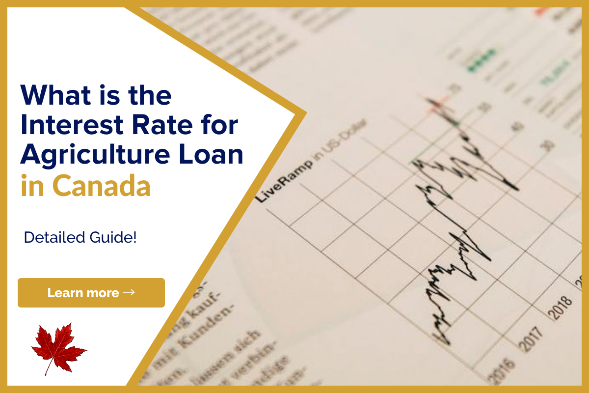 What is the Interest Rate for Agriculture Loan?